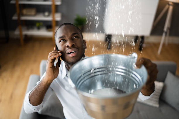 Best Water damage cleanup near me  in Mercedes, TX