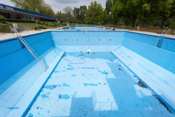 Best Local water damage restoration  in Mercedes, TX