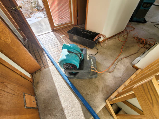 Best Residential water damage restoration  in Mercedes, TX