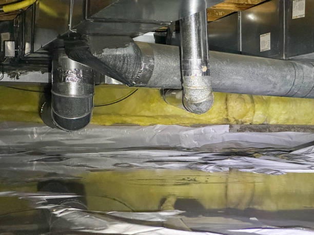 Best Basement water damage restoration  in Mercedes, TX