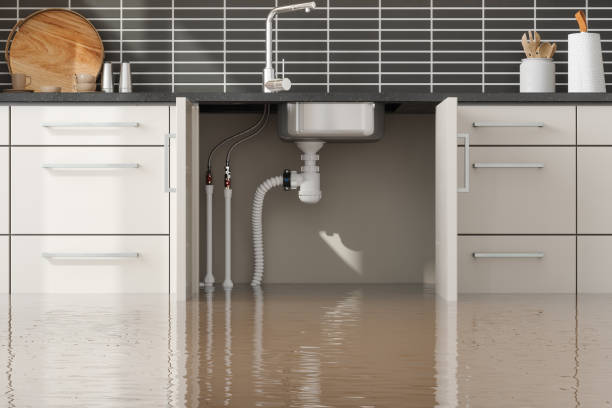 Best Water damage repair service  in Mercedes, TX
